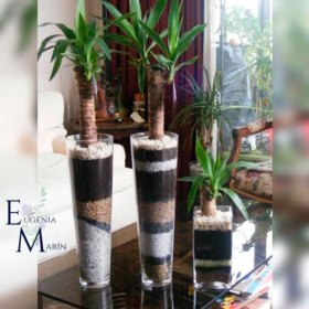 decoracion-eugenia-marin-15-juego-plantas-palo-brasil-piedra-colores